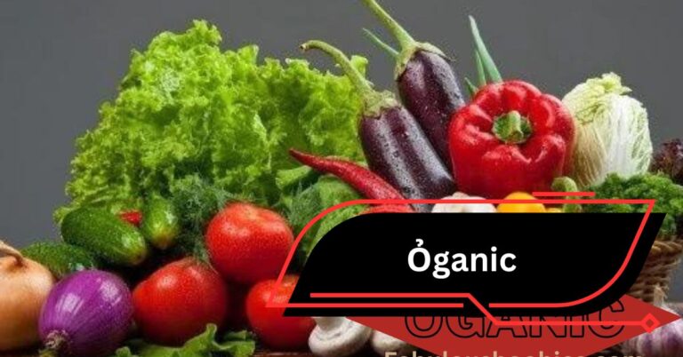 Ỏganic – Your Ultimate Guide To Healthy Living!