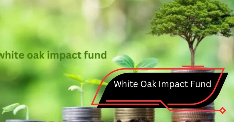 White Oak Impact Fund – A Simple Guide!