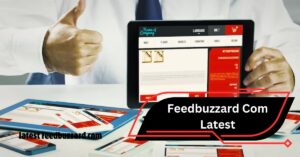 Feedbuzzard Com Latest – Discover A New Way To Stay Informed!